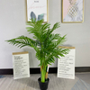 Australia Office Decoration Artificial Kwai Palm Tree