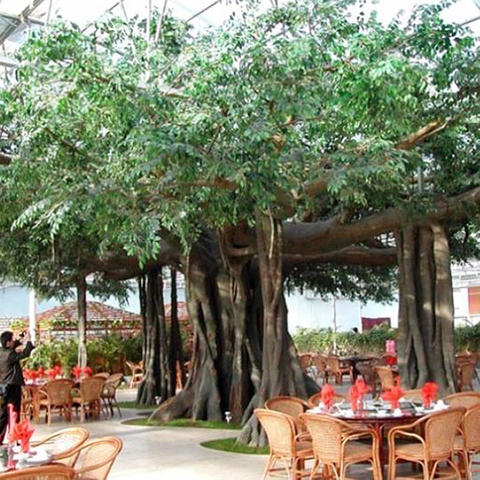 India Water Park Decoration Large Artificial Ficus Tree