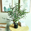 Wholesale Indoor Office Decor Artificial Olive Tree
