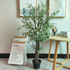 Kuwait Building Decoration Indoor Fake Olive Tree 