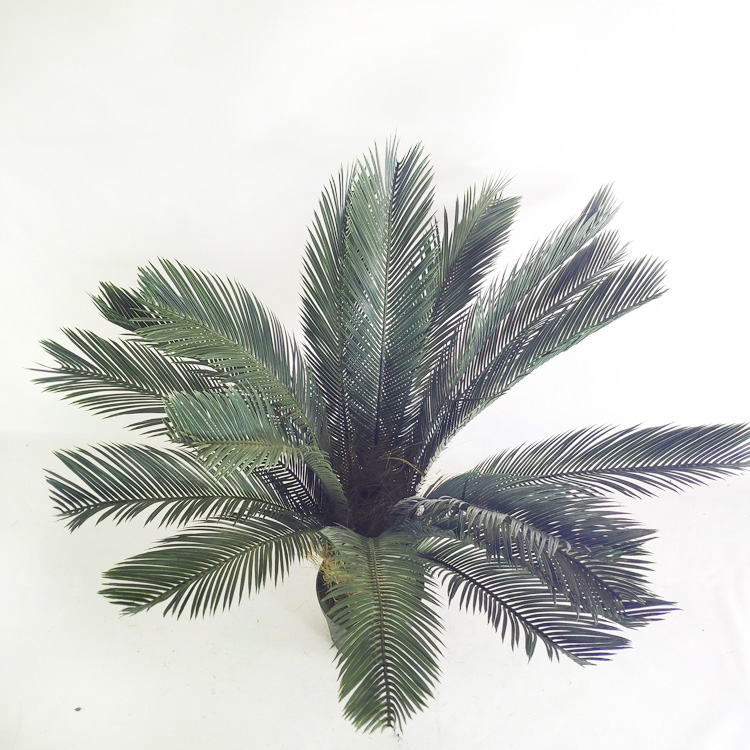 Asia Hotel Decoration Artificial Sago Cycas
