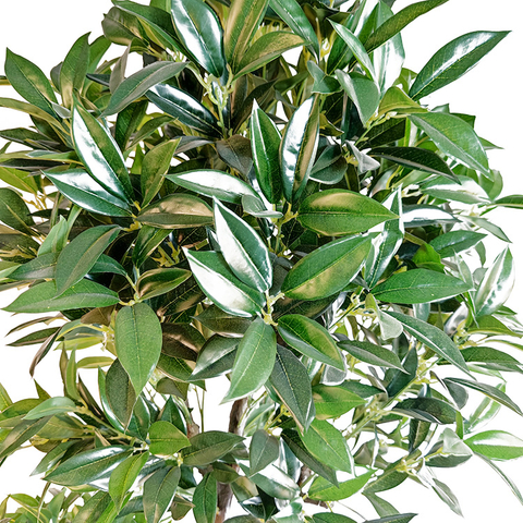 Subtropical Office Decoration Indoor Artificial Laurel Tree 