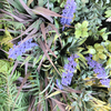 Mall Decoration Fireproof And UV Artificial Green Wall 