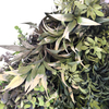 Office Decoration Fireproof And UV Artificial Green Wall 