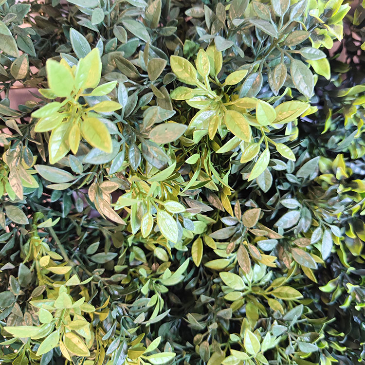 Australia Fireproof And UV Artificial Green Wall 