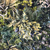 UK Office Decoration Fireproof And UV Artificial Green Wall 
