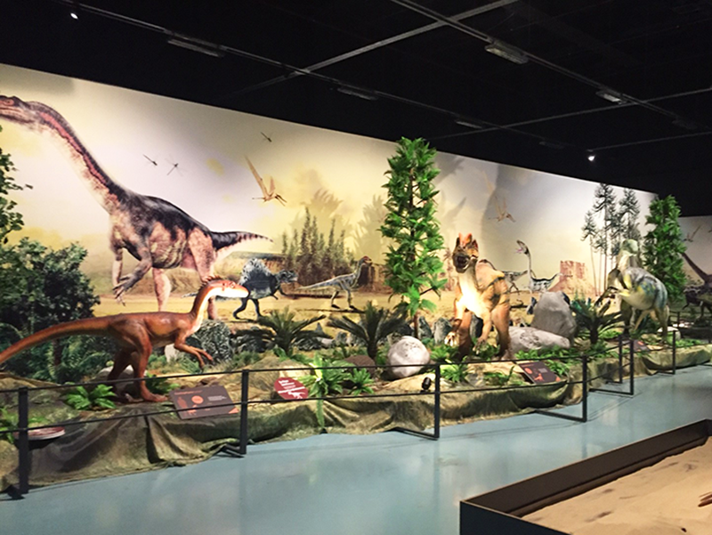 恐龙博物馆2