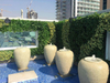 Dubai Hotel Decoration Artificial Green Wall