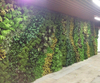 Malaysia Indoor Hotel Decoration Artificial Green Wall 