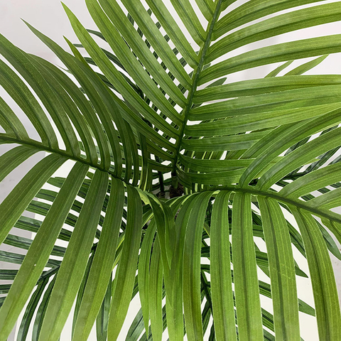 Ireland Indoor Building Decoration Artificial Kwai Palm Tree