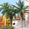 Water Park Decoration Outdoor Artificial Data Palm Tree