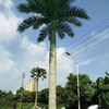 Mall Decoration Outdoor Artificial King Coconut Tree
