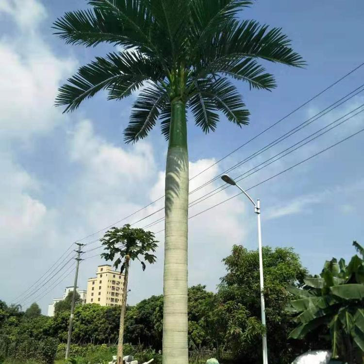 Mall Decoration Outdoor Artificial King Coconut Tree