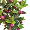 Gardon Decoration Indoor Artificial Camellia Tree