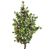 China Home Decoration Artificial Camellia Tree
