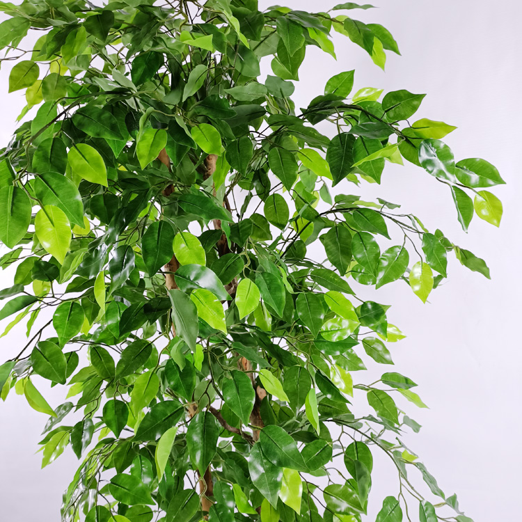 Amazon Hot Sale Gardon Decoration Artificial Ficus Tree