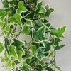 Hotel Decoration Indoor Artificial Hanging Plant