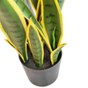 Canada Gardon Decoration Indoor Artificial Agave
