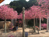 Mall Decoration Outdoor Artificial Peach Tree 