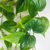 Clubhouse Decoration Indoor Artificial Hanging Plant