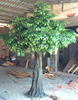 Rainforest Hotel Decoration Artificial Ficus Tree