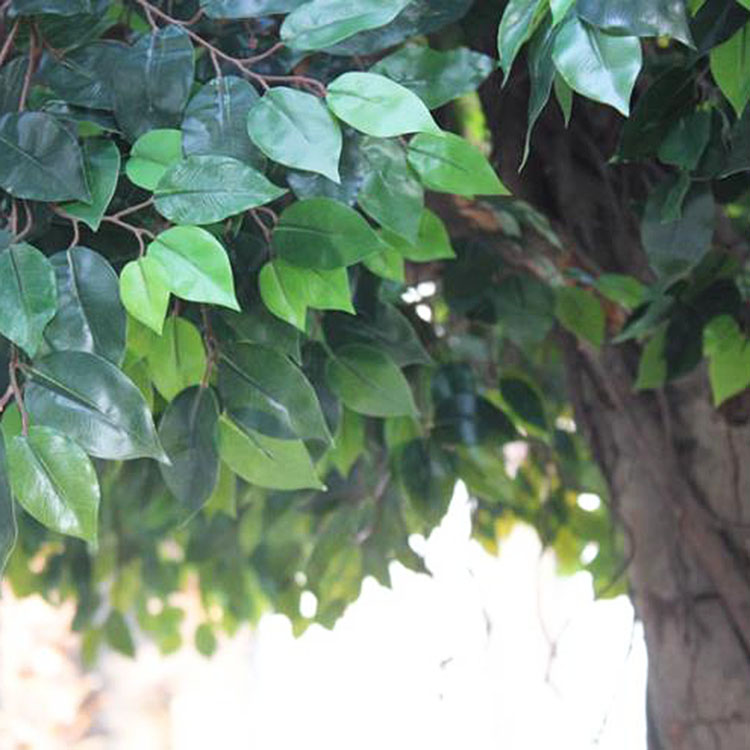 China Landscape Decoration Large Artificial Ficus Tree