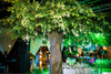 Rainforest Hotel Decoration Artificial Ficus Tree