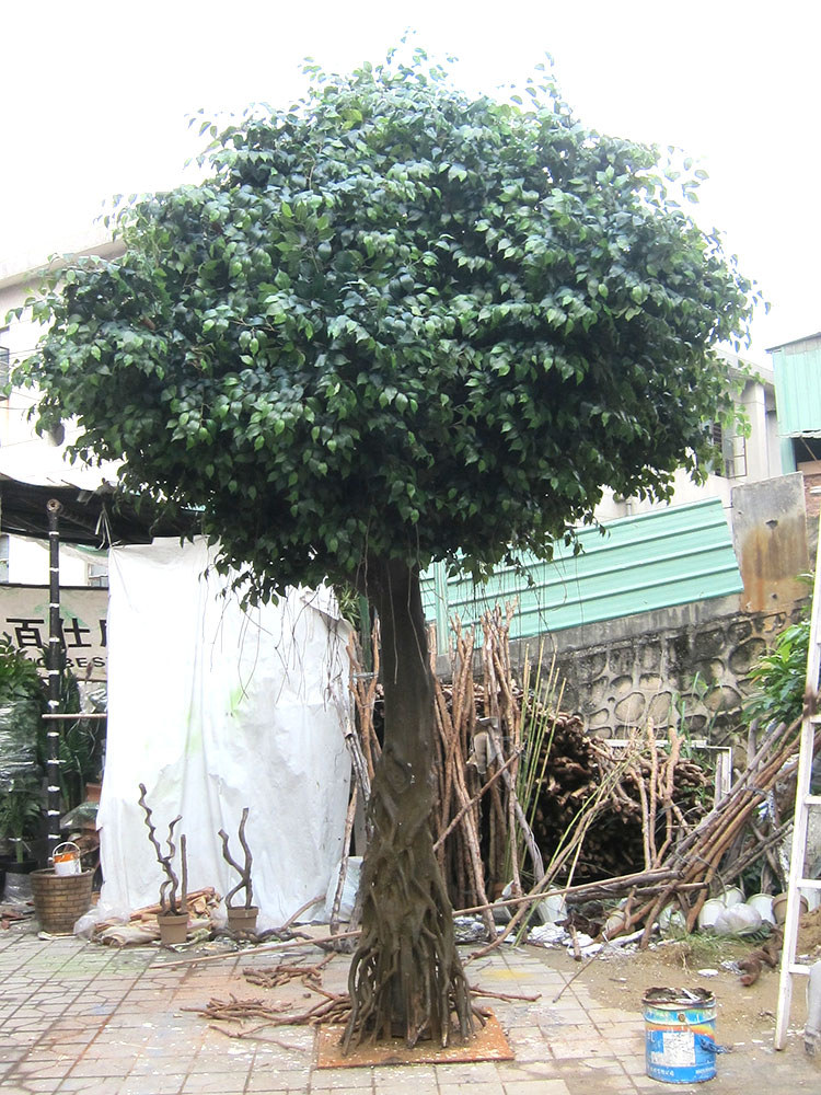 Saudi Arabia High Similarity Artificial Ficus Tree 