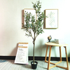 Australia Mall Decoration Plastic Artificial Olive Tree