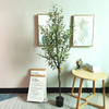 Canada Indoor Office Decoration Artificial Olive Tree
