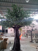 Dubai Clubhouse Decoration Artificial Olive Tree 