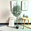 UK Building Decoration Indoor Artificial Olive Trees 