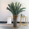 Philippines Bar Decoration Artificial Sago Cycas