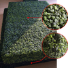 Gardon Decoration Indoor Artificial Boxwood Hedge Wall 