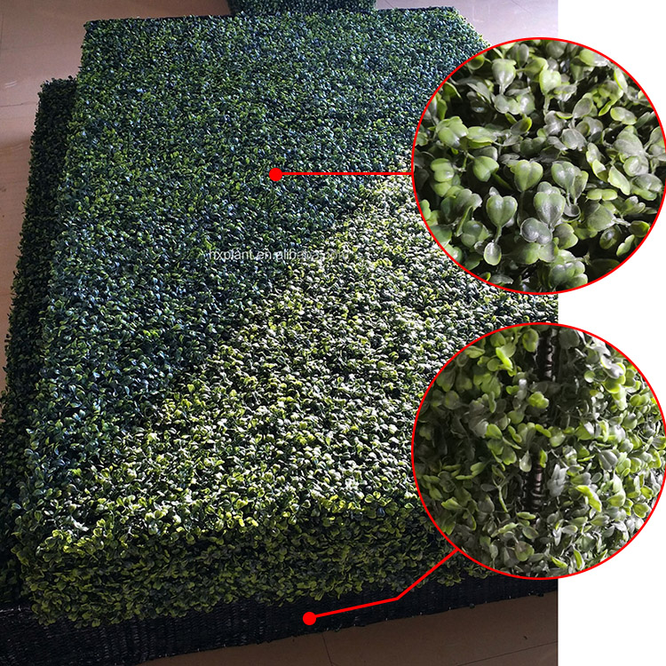 Gardon Decoration Indoor Artificial Boxwood Hedge Wall 