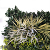 UK Office Decoration Fireproof And UV Artificial Green Wall 