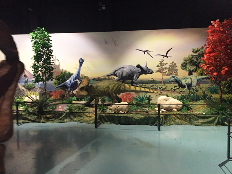 Turkish customers Dinosaur Museum decoration of our artificial plants