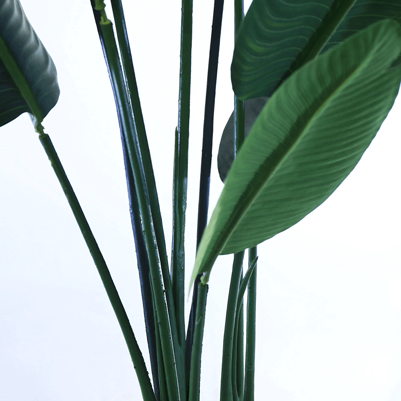 Hotel Decoration Indoor Artificial Strelitziaceae