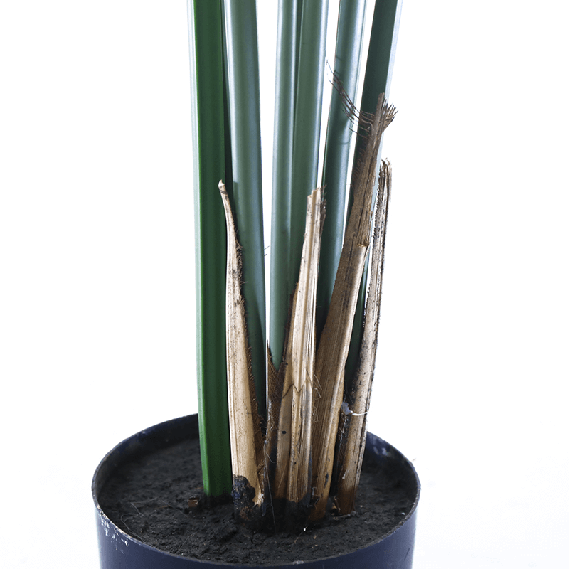 Mall decoration indoor Artificial Strelitziaceae