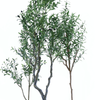 Office Decoration High Quality Artificial Olive Tree