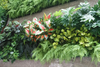 UK Office Decoration Indoor Artificial Green Wall