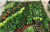 Philippines Clubhouse Decoration Artificial Green Wall