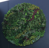 Australia Indoor Building Decoration Artificial Green Wall