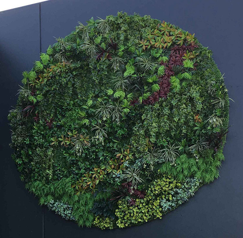 Australia Indoor Building Decoration Artificial Green Wall