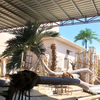 Hotel Decoration Outdoor Artificial Coconut Tree