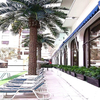China Supplier Building Decoration Artificial Date Palm Tree