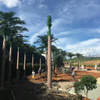 Bar Decoration Outdoor Artificial Coconut Tree