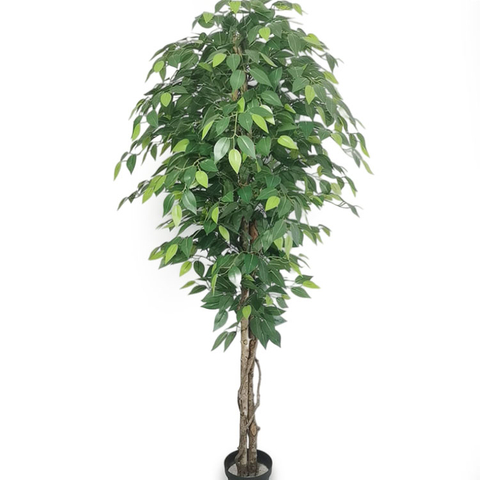 Mall Decoration Indoor Artificial Ficus Tree