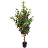 Gardon Decoration Indoor Artificial Camellia Tree