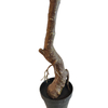 China Home Decoration Artificial Camellia Tree